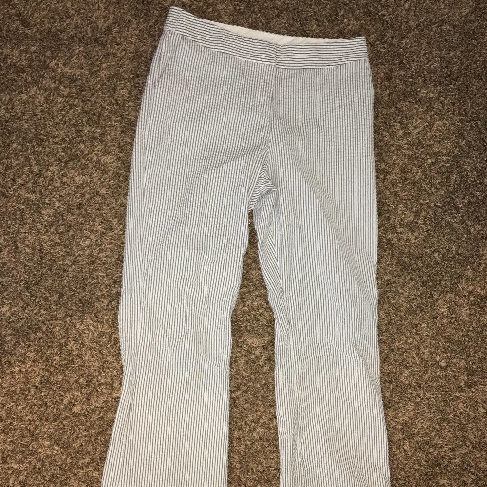 Women's Dress Pants Bundle